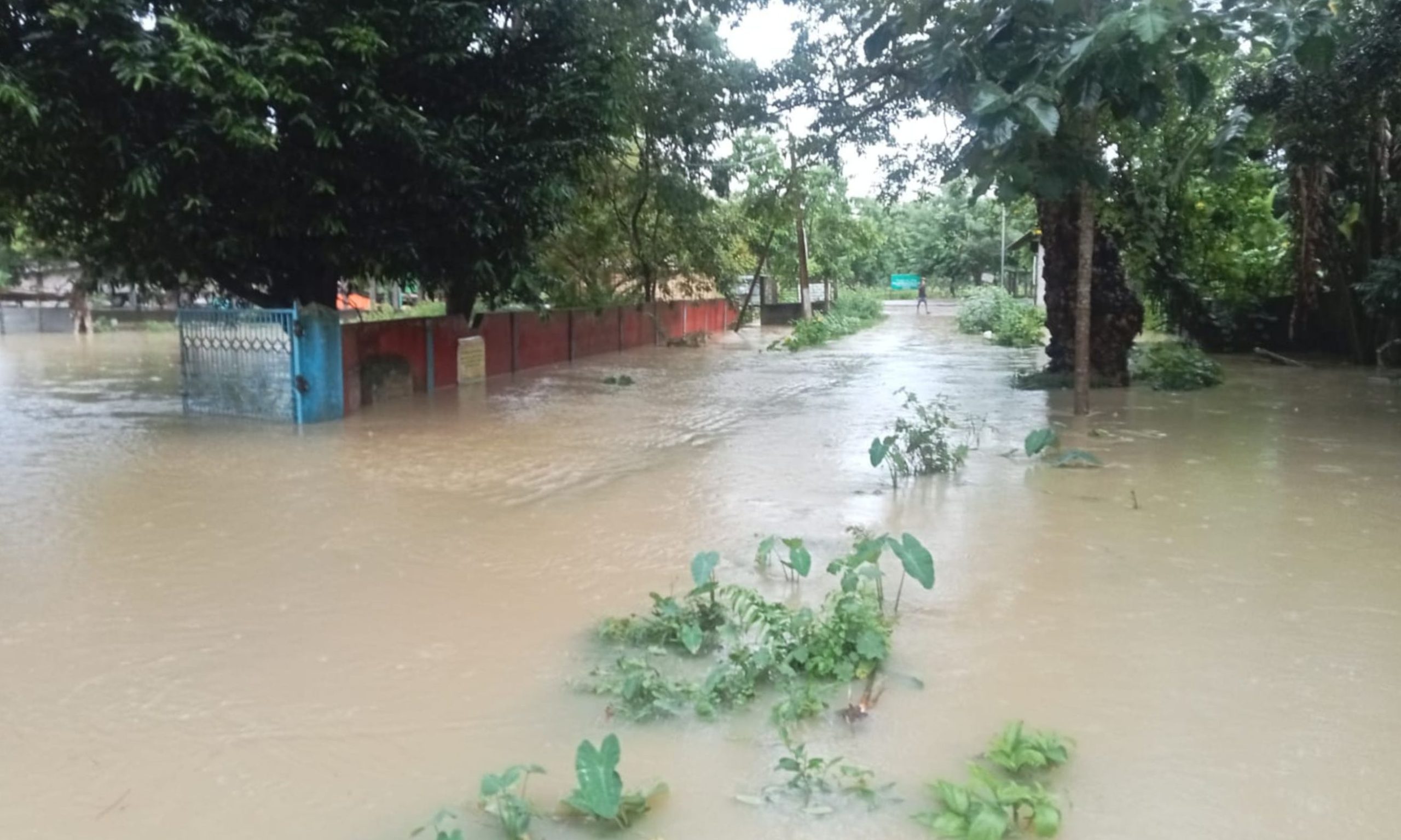 Flood damage photograph 2