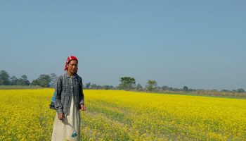 Majuli Majuli